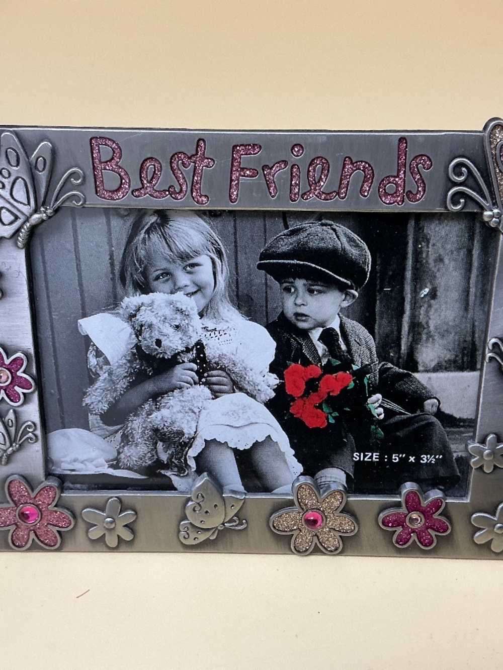 Best Friends Flower and Butterfly Metal Picture Frame